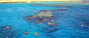 900x600-1-50-77d5216985da11be3e15651e4e128ab1