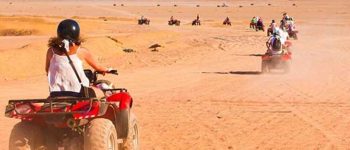 900x600-1-50-c5333bc38a3f5ff25299a78959096b20