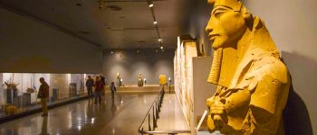 ??????????????????????????????????????????????????????????????????????????????????????????????