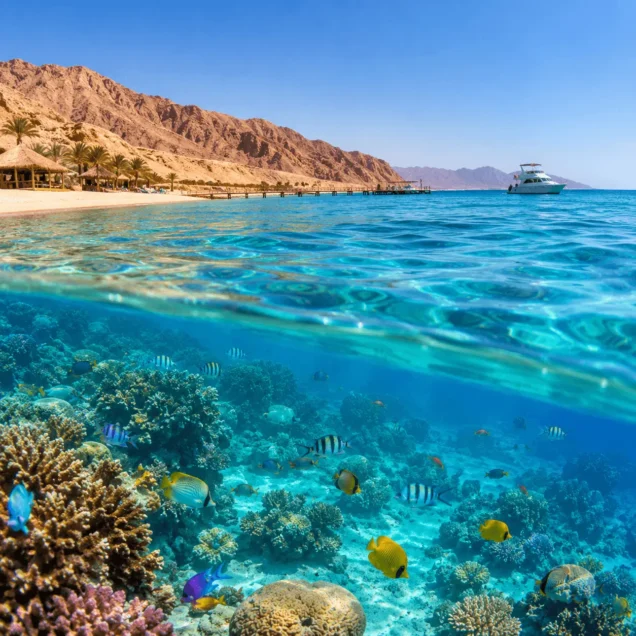 The Red Sea